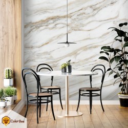 Fototapetai "Grey layered marble"